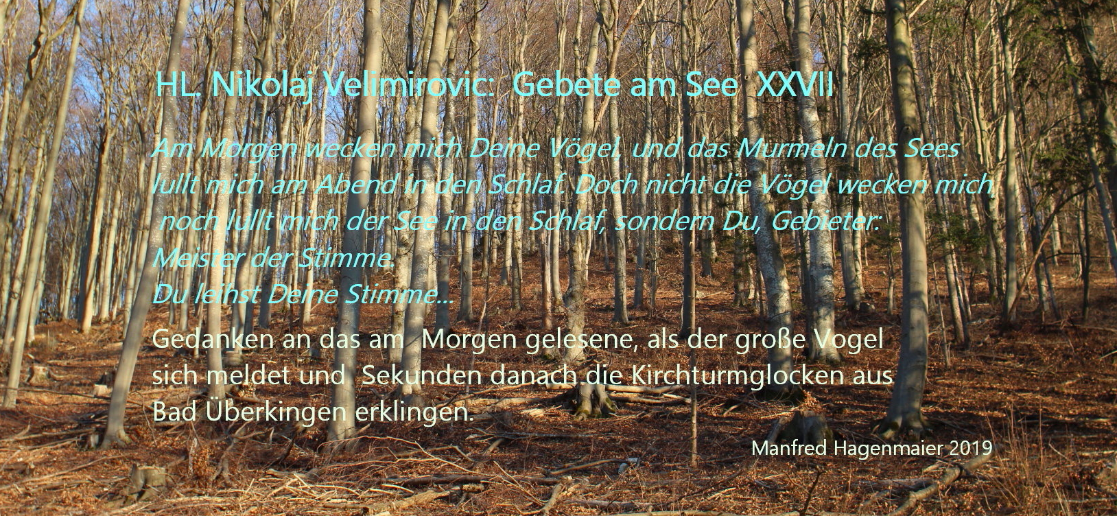 Gut SO!